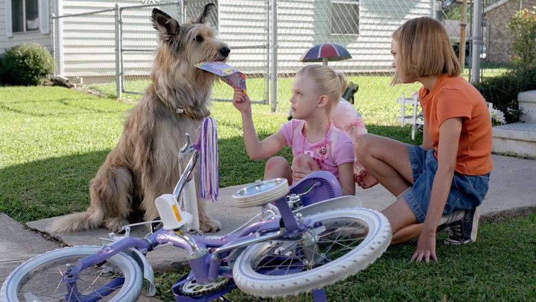 кадр из фильма Благодаря Винн Дикси