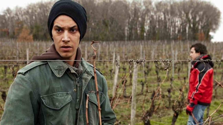 кадр из фильма Amsterdam