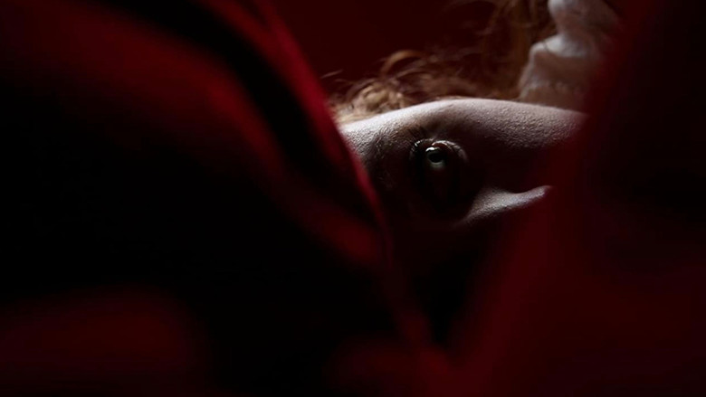 кадр из фильма Exvallis