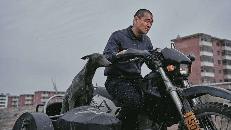 кадр из фильма Чёрный пёс