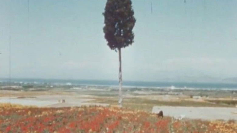 кадр из фильма Навсикая