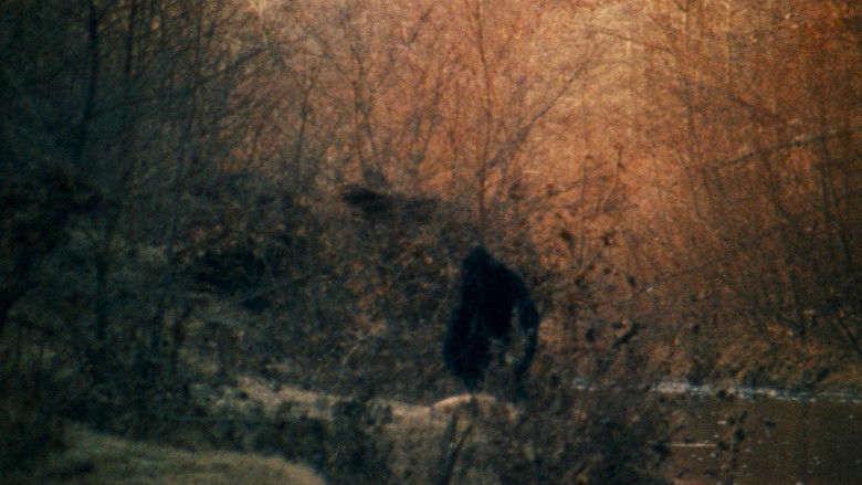 кадр из фильма The Legend of Boggy Creek