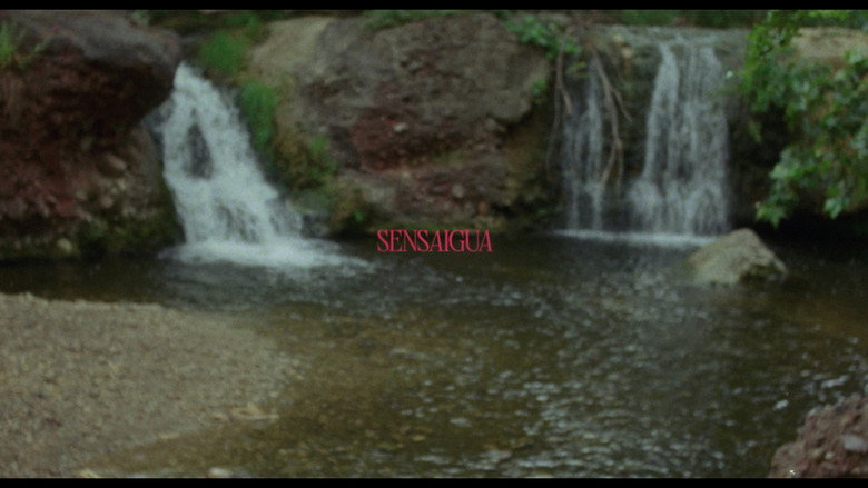 кадр из фильма Sensaigua