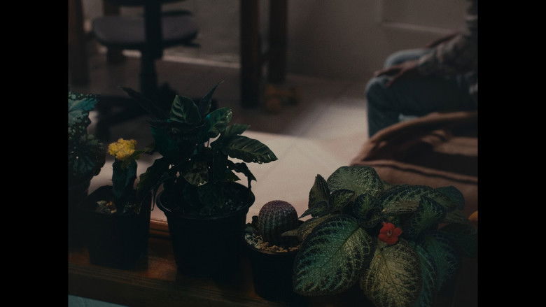 кадр из фильма Superficie o Perder el Tiempo en los Espacios Más Relucientes