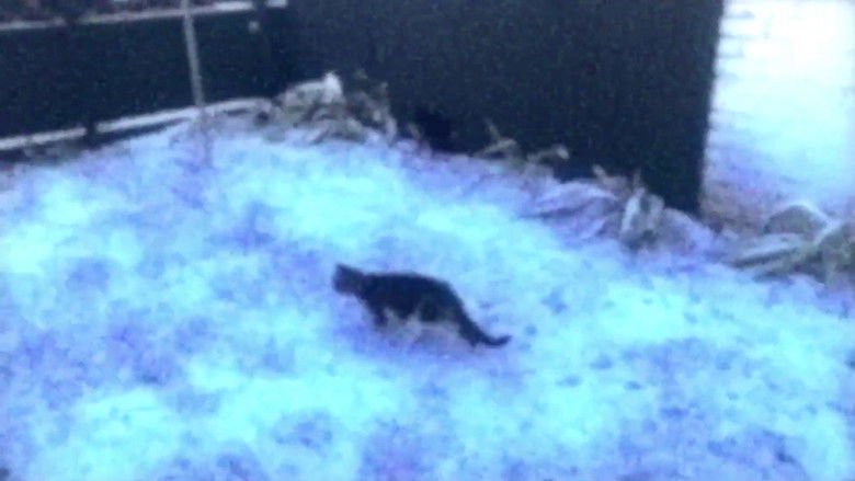 кадр из фильма Vague Void