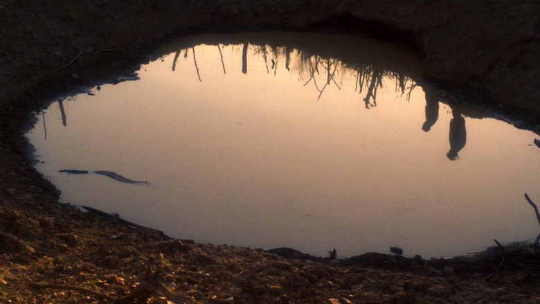 кадр из фильма Aurora