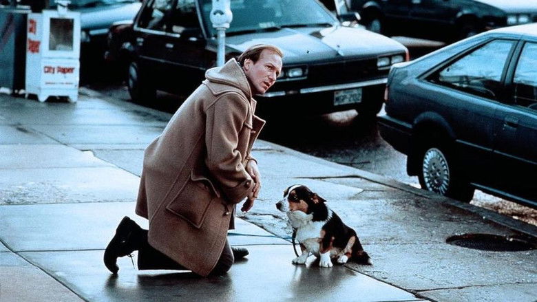 кадр из фильма Турист поневоле