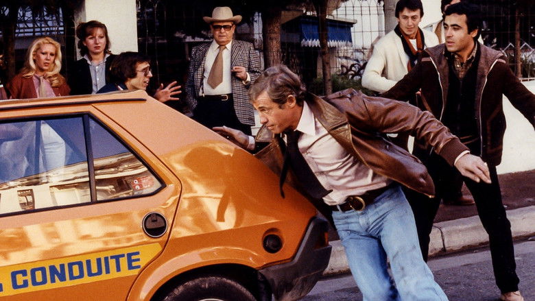 кадр из фильма Кто есть кто