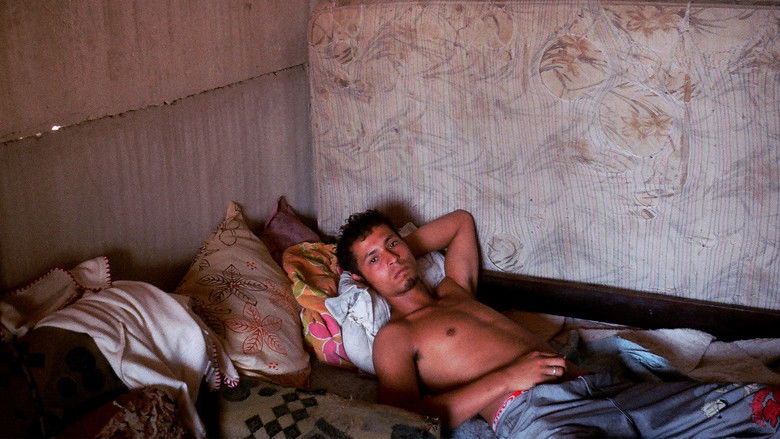 кадр из фильма A Vizinhança do Tigre