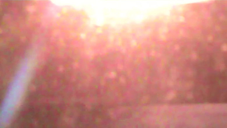 кадр из фильма tracks