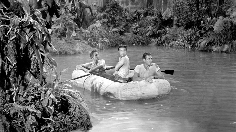 кадр из фильма Неизвестная земля