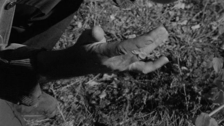 кадр из фильма Мушетт