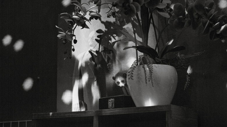 кадр из фильма Cu Li Không Bao Giờ Khóc