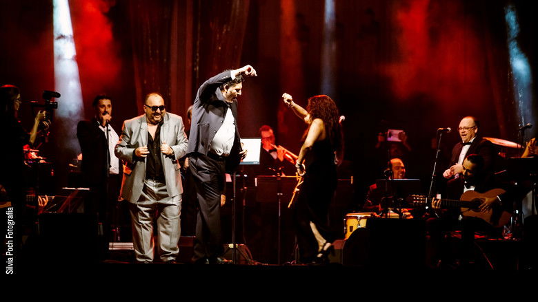 кадр из фильма Petitet