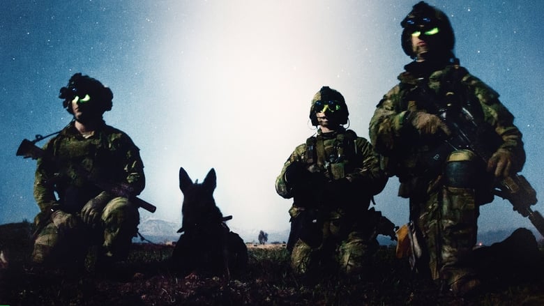 кадр из фильма War Dog: A Soldier's Best Friend