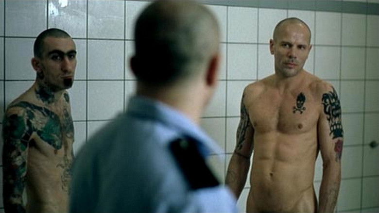 кадр из фильма Zonzon