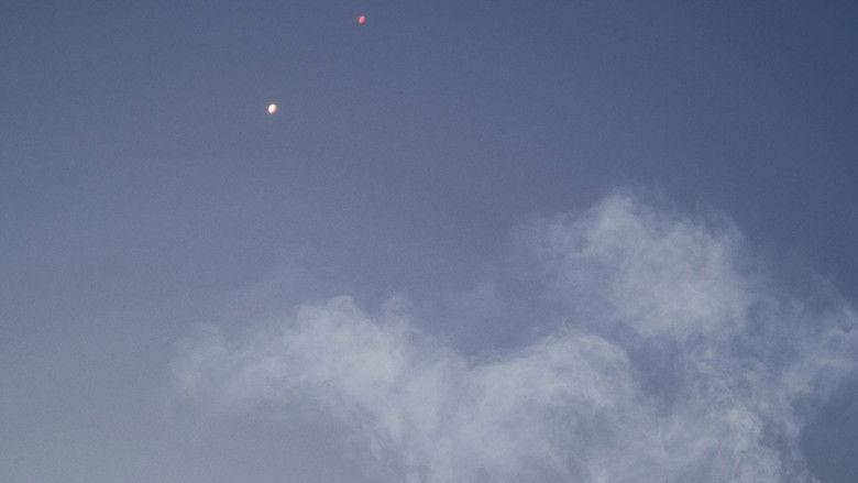 кадр из фильма Conference of the Birds