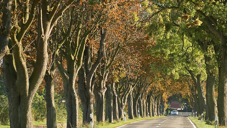 кадр из фильма Ostseeparadies Rügen