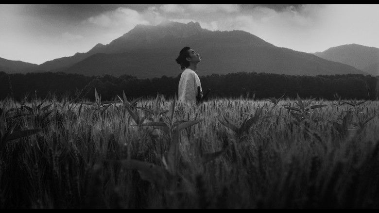 кадр из фильма Shiro