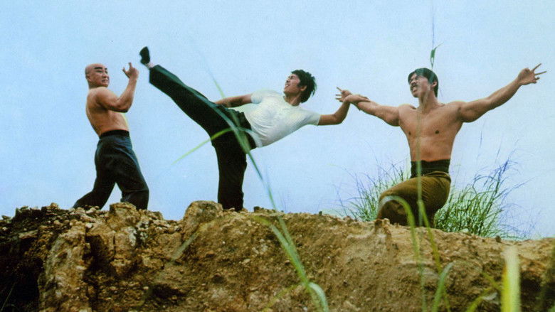 кадр из фильма 小霸王