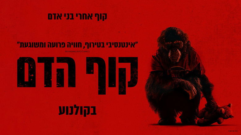 кадр из фильма Примат