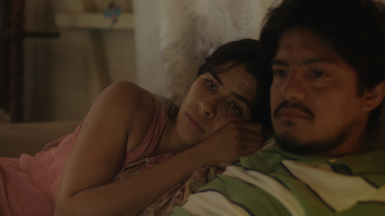 кадр из фильма Пробуждение муравьёв