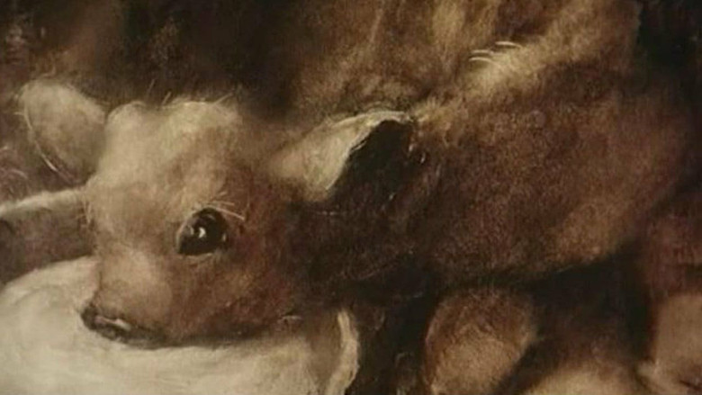 кадр из фильма Корова