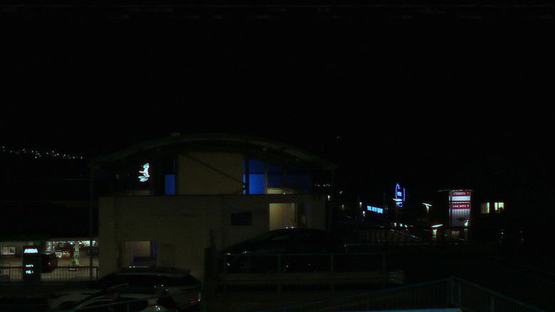 кадр из фильма My Self Absorbed Documentary Project