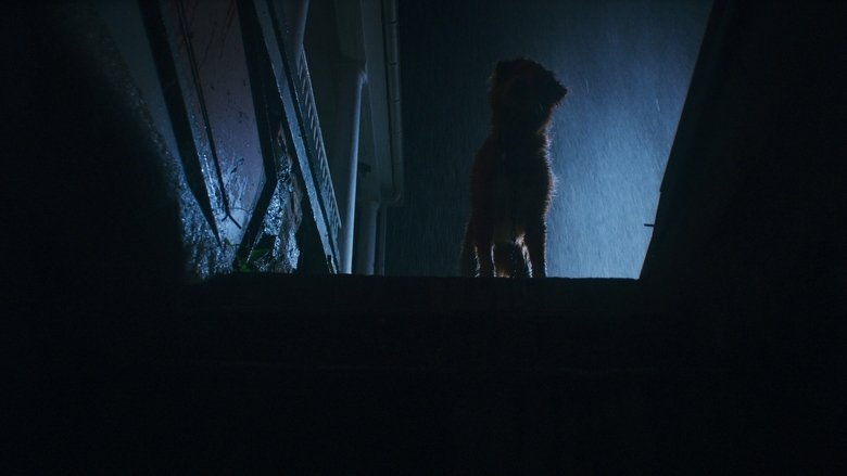 кадр из фильма Хороший мальчик