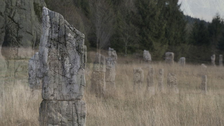 кадр из фильма Šume šume