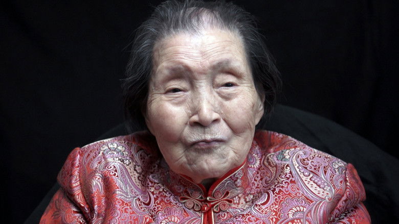 кадр из фильма On the Track of Robert Van Gulik