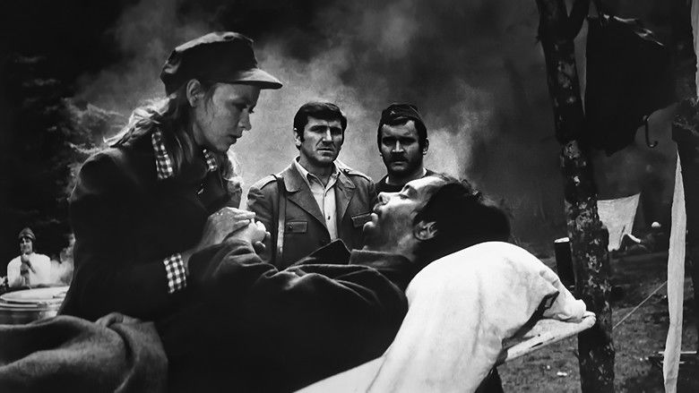 кадр из фильма Пятое наступление