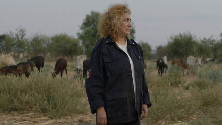 кадр из фильма Одеяние из драгоценных камней