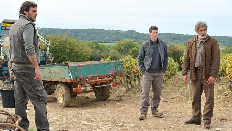 кадр из фильма Premiers crus