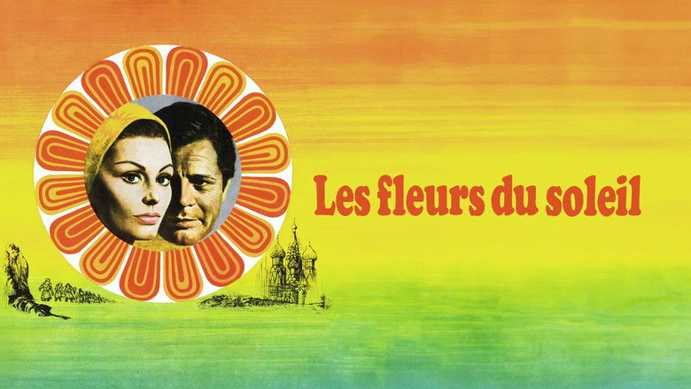 кадр из фильма Подсолнухи