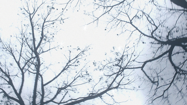 кадр из фильма Eu me tornei outra coisa