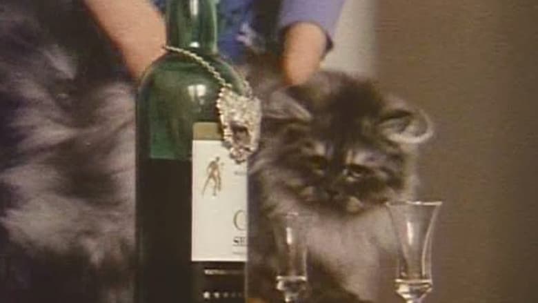 кадр из фильма Who's Who