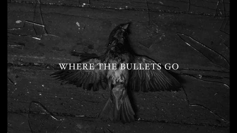 кадр из фильма Where the Bullets Go