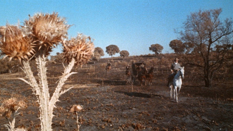 кадр из фильма Жестокие