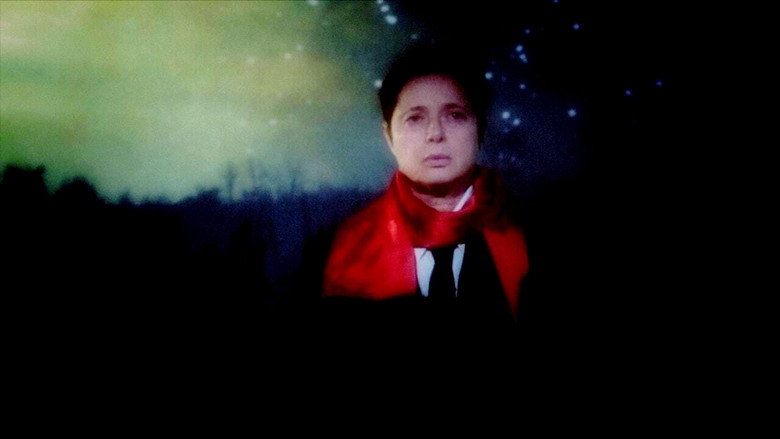 кадр из фильма The Rabbit Hunters