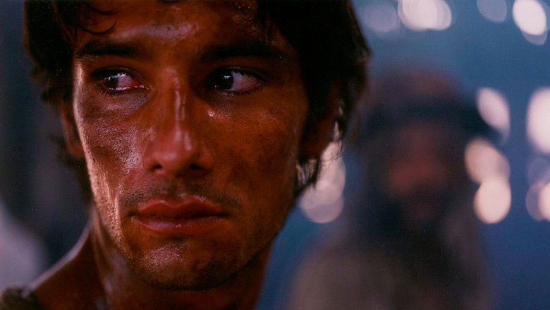 кадр из фильма Последнее солнце