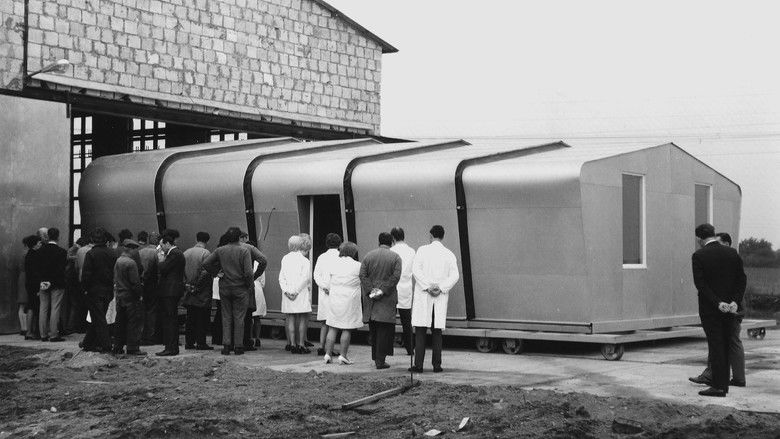 Lost Silverfish of Berlin