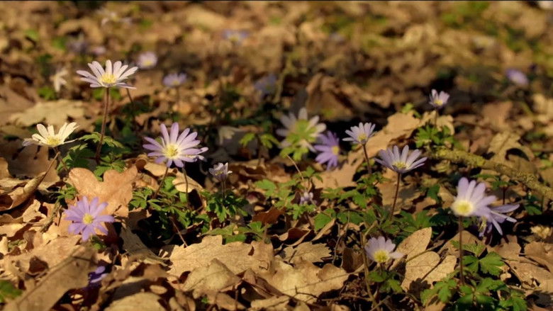 кадр из фильма Μισαγαπιστές