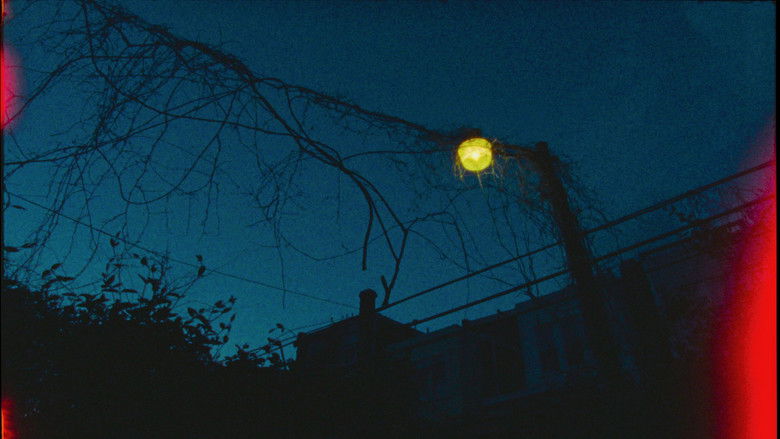 кадр из фильма Squatter