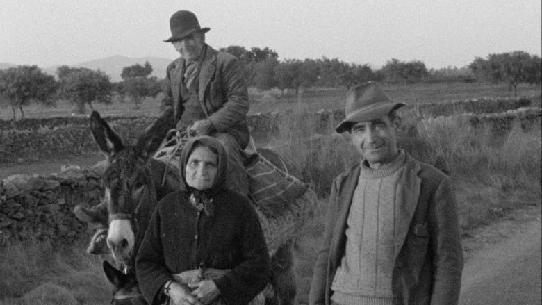 кадр из фильма Spanien!