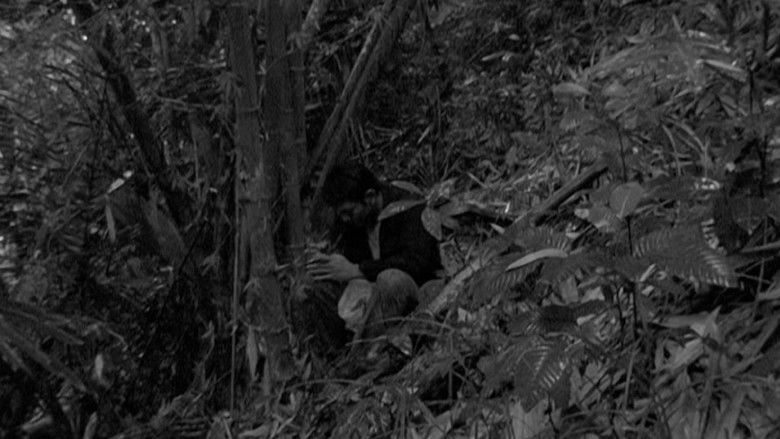 кадр из фильма Меланхолия