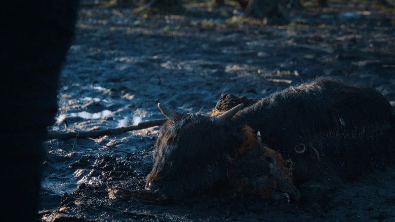 кадр из фильма Beigas