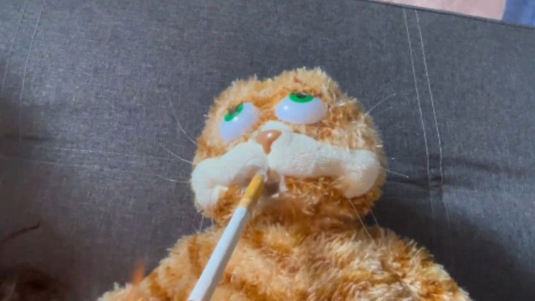 кадр из фильма zonked.