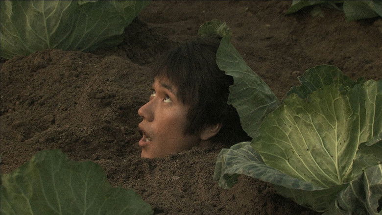 кадр из фильма ウルトラミラクルラブストーリー