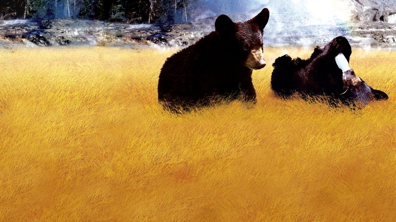 кадр из фильма Yellowstone Cubs
